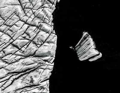 БГУ имени академика И.Г. Петровского: История, достижения и современные образовательные инициативы